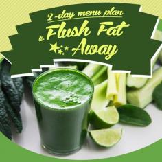 
                    
                        After an indulging holiday, use our 2-Day Menu Plan to Flush the Fat Away!  #flushthefataway #weightloss #cleanse #detox
                    
                