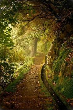 Forest Trail, Plitvice, Croatia. It reminds me of the Shire.