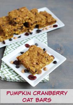 
                    
                        Pumpkin Cranberry Oat Bars
                    
                