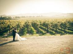 
                    
                        Vineyard wedding
                    
                