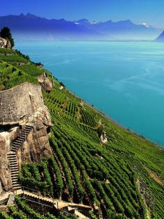 
                    
                        Lake Geneva, Switzerland
                    
                