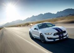 
                    
                        Best  Ford Mustang Shelby GT350 2016
                    
                