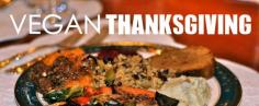 
                    
                        Vegan Thanksgiving Recipes by Robin Robertson
                    
                