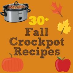 
                    
                        30+ Hearty Fall Crockpot Meal & Dessert Recipes - Eat Drink Eat
                    
                