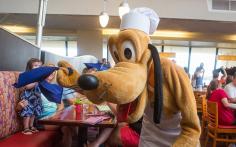 Pluto playing at Chef Mickey's