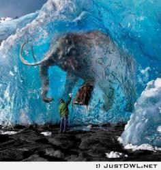 
                    
                        In ice condition: Amazingly preserved woolly mammoth found frozen in Siberia after 39,000 YEARS goes on display in Tokyo.  Female woolly mammoth was found frozen in a Siberian ice tomb in May.  The creature will be on display in Tokyo until September Scientists think she got stuck in a swamp and died over 39,000 years ago. Blood sample found at the scene could be used to clone the beast - WOWWWW !!!
                    
                