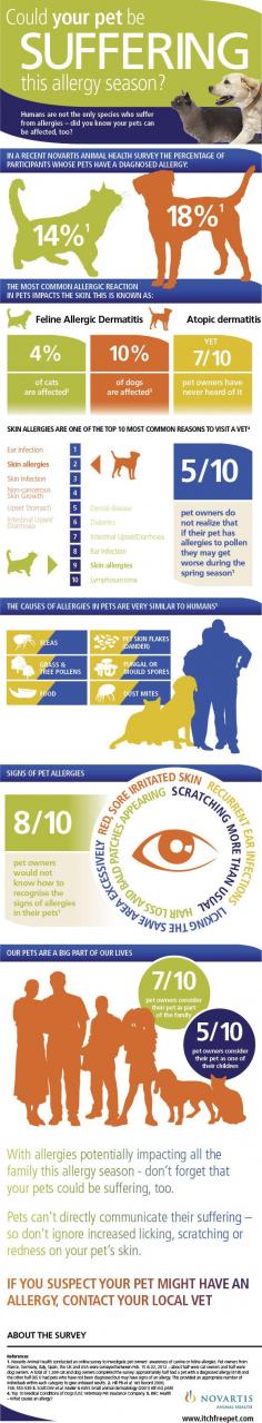 
                    
                        Allergies in pets infographic
                    
                