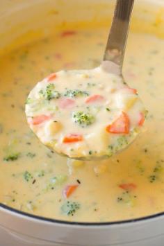 
                    
                        Cheesy+Vegetable+Chowder+{AKA+Broccoli+Cheese+Potato+Soup}
                    
                