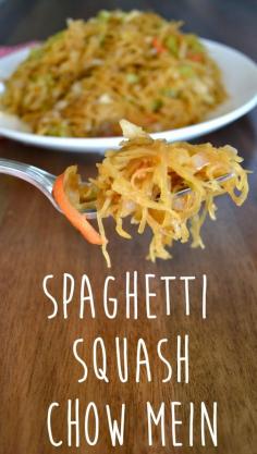 
                    
                        Spaghetti Squash Chow Mein
                    
                