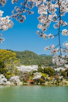 Daikaku-ji, Kyoto, Japan