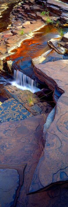 
                    
                        Nature's patterns. National Park - Kalamina Gorge, Karijini, Western Australia. Photo by Christian Fletcher.
                    
                