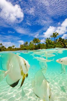 
                    
                        Bora Bora, French Polynesia
                    
                