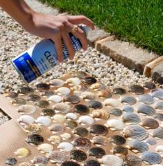 
                    
                        Spray sea shells with Painter's Touch Gloss in Crystal Clear to return the beautiful natural color and pattern to the shells
                    
                