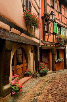 
                    
                        Cobblestone Street, Alsace, France #travel
                    
                