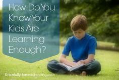 
                    
                        How do you know your kids are learning enough?
                    
                