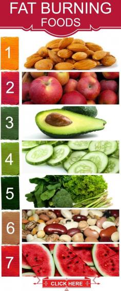 
                    
                        Top 10 Fat Burning Foods #flatbelly
                    
                