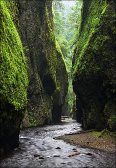 
                    
                        Fern Canyon, California
                    
                