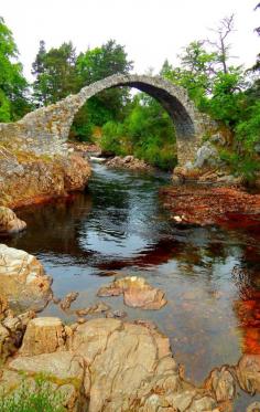 
                    
                        Carrbridge ~ Cairngorms, Scottish Highlands, Scotland
                    
                