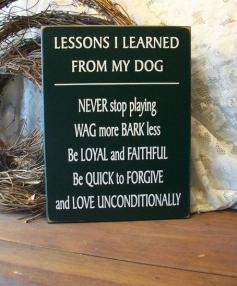 Lessons I learned from my dog. - Funny Animal #funny cat photos #funny girl photos #funny animal videos #cute photos| http://feelbettersong.blogspot.com