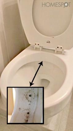 
                    
                        How to keep a toilet clean -1/4 Cup of Baking Soda -1/2 Cup of Vinegar -2 Cups of Hot Water
                    
                