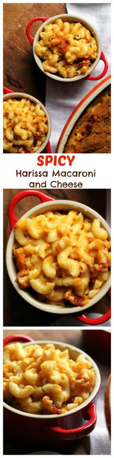 
                    
                        Harissa macaroni and cheese is spicy, creamy, and worth every bite of indulgence!
                    
                