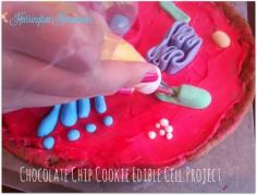 
                    
                        Edible Cell Project : Chocolate Chip Cookie Science
                    
                