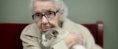 
                    
                        This Photo Captures The Tender Moment A 102-Year-Old Woman Fell In Love With A Shelter Cat
                    
                