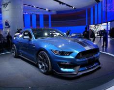 
                    
                        2015 Shelby GT350R Mustang
                    
                