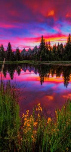 ~~Jackson Hole, Wyoming Beaver Dam Sunset | Late spring sunset by the iconic beaver dam at Schwabachers Landing by Jerry Patterson~~