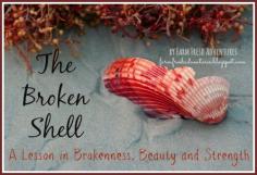 
                    
                        The Broken Shell: A Lesson in Brokenness, Beauty and Strength #encouragement #christianliving
                    
                