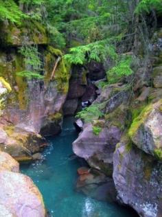 Five short hikes to breathtaking sites in Glacier National Park.