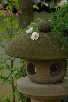 
                    
                        **Japanese Garden
                    
                
