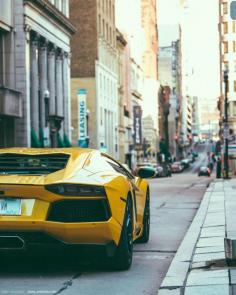 
                    
                        Lamborghini Aventador #petrolified
                    
                