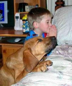 Bedtime prayers, I mean that sweet doggie is doing some big time praying.