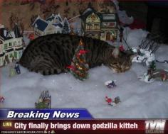 Breaking News - City finally brings down godzilla kitteh Cute cats 67 - Click the photo for more cute cats and pets info and photos. #CuteCats