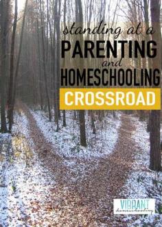 
                    
                        Homeschool and parenting isn't always easy. We all deal with seasons of big transition and difficulty from time to time. What do you do when you're standing at the crossroads? Are you willing to take that new, uncertain path? Vibrant Homeschooling
                    
                