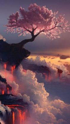 Cherry blossom tree at the Fuji volcano  #romantic #places #dreamy #landscape #magical #beautiful #trees #blossom
