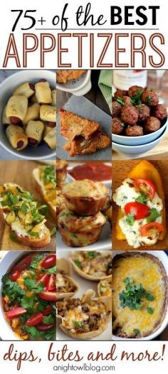 
                    
                        A list of the best appetizers and recipes to go along with them. Just in time for the super bowl!
                    
                