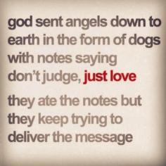 
                    
                        We would all do better to love as our dogs do. Pass it on. Remind someone that you love them today (not just your dog!).
                    
                