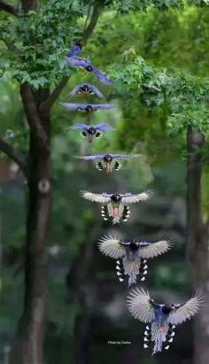 
                    
                        In flight ~ time lapse
                    
                