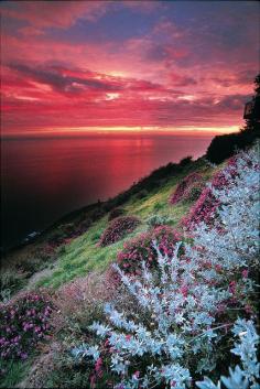 
                    
                        Big Sur, California Sunset #LIFECommunity #Favorites From Pin Board #19
                    
                