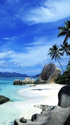 
                    
                        Caribbean islands
                    
                