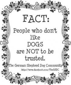 
                    
                        From the Facebook group The German Shepherd Dog Community. A 100% accurate fact.
                    
                