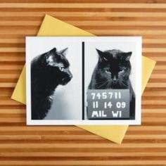 
                    
                        AC card by @Kate Funk at #domestica #cat #card #gifts #handmade #blackcat
                    
                