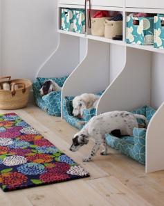 Fun idea for #dog rooms in a mud room. You can even #organize your pets!