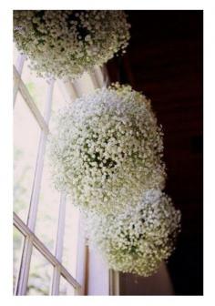 
                    
                        hangingbabysbreath
                    
                