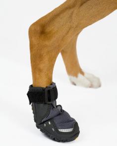 Ruffwear Product #dog #boots #shoes #miamibeach #dogwalker