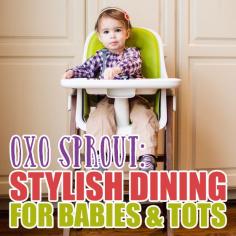 
                    
                        OXO Sprout Stylish dining for babies and tots
                    
                