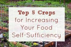 Top 5 Crops for Increasing Food Self Sufficiency #gardening #diy #homesteading #crops #allnatural