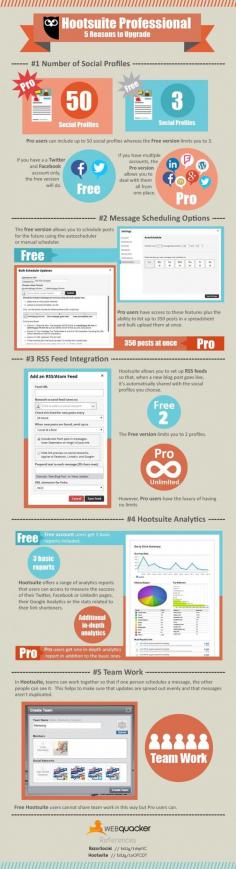 
                    
                        Hootsuite 5 reasons to use pro infographic
                    
                